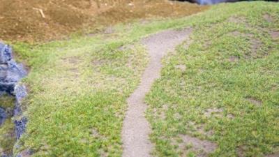 NOCH 60115 Gras-Master Profi