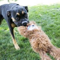 KONG TUGGZ LUIAARD 23X11X42 CM - thumbnail