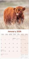 Schotse Hooglanders Kalender 2026 - thumbnail