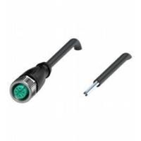 Pepperl+Fuchs 239998-0031 Sensor/actuator connector, geassembleerd Aantal polen (sensoren): 5 80 m 1 stuk(s) - thumbnail