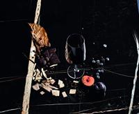 SCHOTT ZWIESEL 8003.57130 wijnglas Veelzijdig wijnglas 660 ml - thumbnail