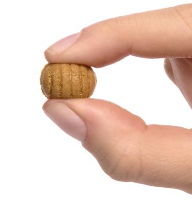 MGA's Miniverse Food Dinner From Scratch S2