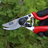 Siena Garden CG1070 Grasschaar 21.5 cm Bypass - thumbnail