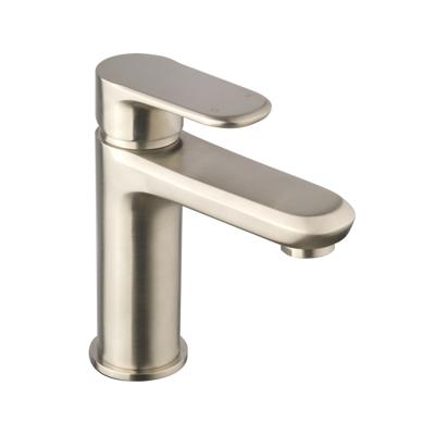 Wastafelkraan Boss & Wessing Opbouw Eenhendel Mengkraan RVS Boss & Wessing