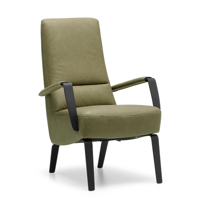 Fauteuil X-108 Groen Leer