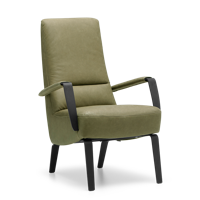 Fauteuil X-108 Groen Leer - thumbnail