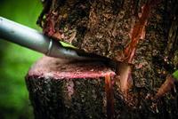 Fiskars WoodXpert valtang met hulpstuk L - 1015439 - 1015439 - thumbnail