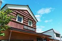 Kinzo Hekpunten 50cm set a 10 stuks - thumbnail