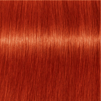 Indola Profession PCC Fashion 8.44X Licht Blond Extra Koper Haarverf 60ml - thumbnail