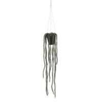 Rhipsalis hangend in pot groen l62xd9cm Mica Decorations - Mica decorations - thumbnail