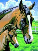 Schilderen op Nummer Paard - thumbnail