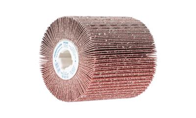 PFERD TOOLS 44783040 Lamellenschuurwals Diameter 100 mm 1 stuk(s)