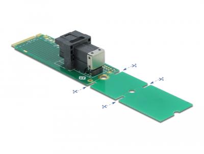 Delock adapter M.2 Key M naar SFF-8643 NVMe 22110/2280 / 2260