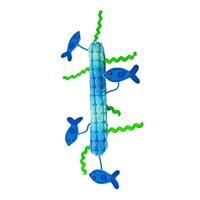 KONG KICKEROO STICKEROO MET KREUKGELUID EN CATNIP BLAUW 26X11,5X2 CM - thumbnail