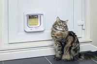 Kattenluik SureFlap IDSCFWT_SML 14,2 x 12 cm - thumbnail