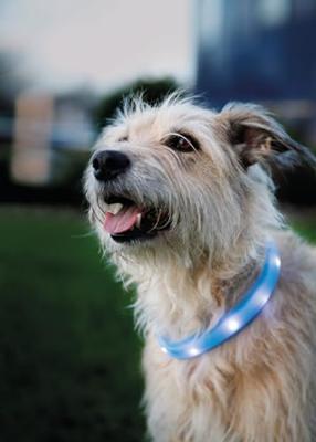 LED-halsband voor huisdieren Trixie Flash USB Blauw L/XL - thumbnail