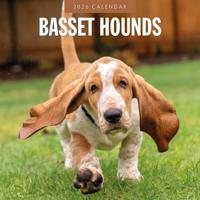 Basset Hound Kalender 2026 - thumbnail