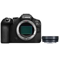 Canon EOS R6 Mark III + EF - RF Mount Adapter - thumbnail