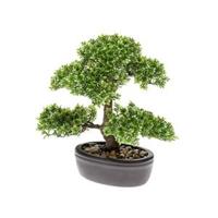 Zijdeplant Bonsai Ficus kunstplant 32 cm Driesprong Collection - Driesprong collection - thumbnail