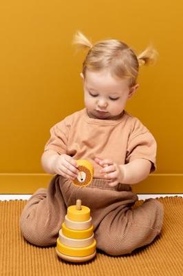 Trixie houten stapelspeelgoed mr. lion, 7dlg.