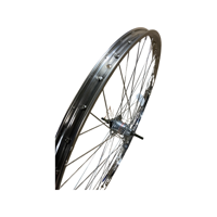 Achterwiel 28 (622) Nexus-3 Westwood Rvs - thumbnail