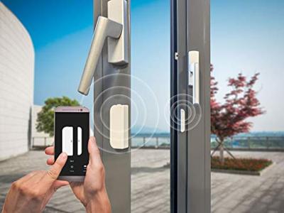 Slimme Deur En Raamsensor (HWS101)