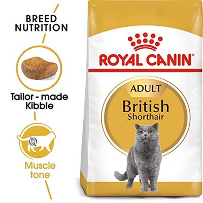 Royal Canin Adult British Shorthair kattenvoer 4 kg - thumbnail