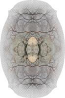 Moooi Carpets - Diamond Tree - 400x267 cm Rond Vloerkleed - thumbnail