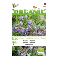 Phacelia, Bijenvoer (BIO) - thumbnail