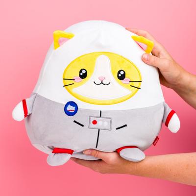 Astrokat kussen Astrokat kussen