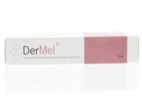 Dermel Huidzalf Tube 15g - thumbnail