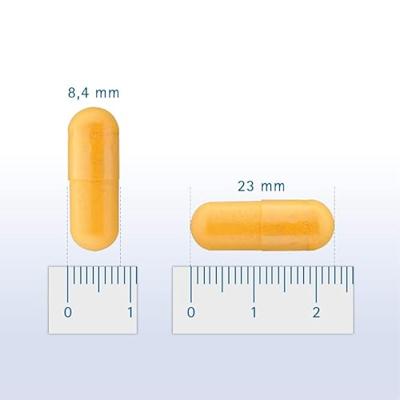 Pharmox HK Groenlipmossel voor hond en kat 60 tabletten