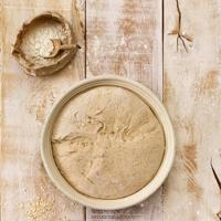 Birkmann Rijsmand Laib & Seele ø 20 x 8.5 cm - thumbnail