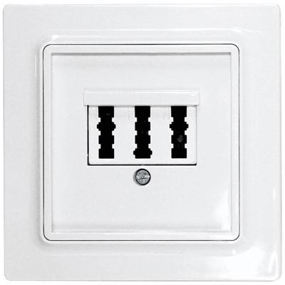 Eltako TAE55E/3-wg TAE-afdekking Schroefbevestiging Eltako TAE55E/3-wg TAE-afdekking Schroefbevestiging