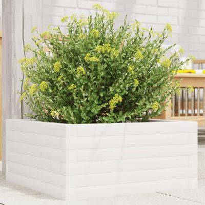 VidaXL Plantenbak 50x50x23 cm massief grenenhout wit