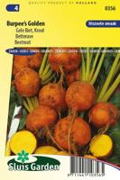 Gele Biet Burpees Golden zaden - thumbnail