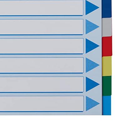 Esselte tabbladen 12 tabs