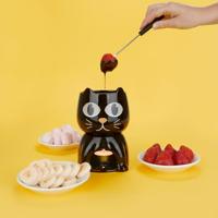 Warmtegevoelige kat fondueset - thumbnail