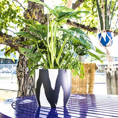 Belton spuitbus ral9007 400ml