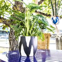 Belton spuitbus ral9007 400ml - thumbnail