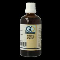 GO Rubus idaeus bio 100 Milliliter - thumbnail