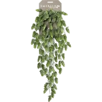 Kunsthangplant Hop hangend 75cm groen - thumbnail