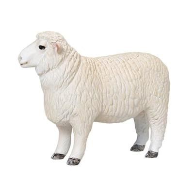 Mojo farmland romney schaap ram - 381063