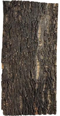 Kurk plaat 60 x 30 cm Repto - Repto Kurk plaat 60 x 30 cm Repto - Repto