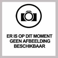 Beschermengel Hanger Bergkristal met displaykaartje (20 mm) - thumbnail