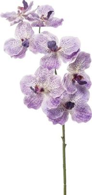 Vanda spray rt lt purple 77 cm kunstbloem zijde nepbloem Emerald - Emerald