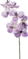 Vanda spray rt lt purple 77 cm kunstbloem zijde nepbloem Emerald - Emerald - thumbnail