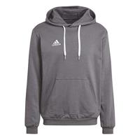 adidas Entrada 22 Sweat Hoodie Grijs Wit - thumbnail
