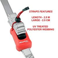 Masterlock Spanband 2,5m x 25mm, veerklem - 3313EURDAT 3313EURDAT - thumbnail