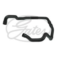 Radiateurslang 052620 - thumbnail